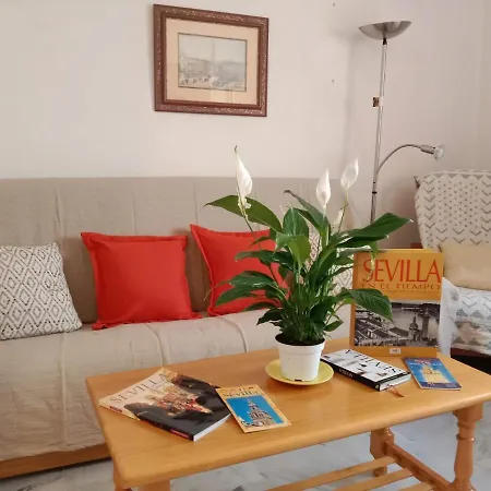 Wish Setas De Appartement Séville